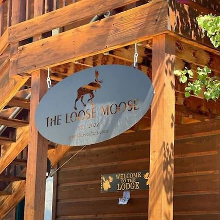 The Loose Moose Lodge #3 At Downtown Grand Lake Exterior photo